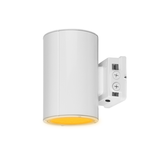 Amber Adjustable Cylinder Light, 38 Watts, White finish, adjustable lumen, adjustable color temperature