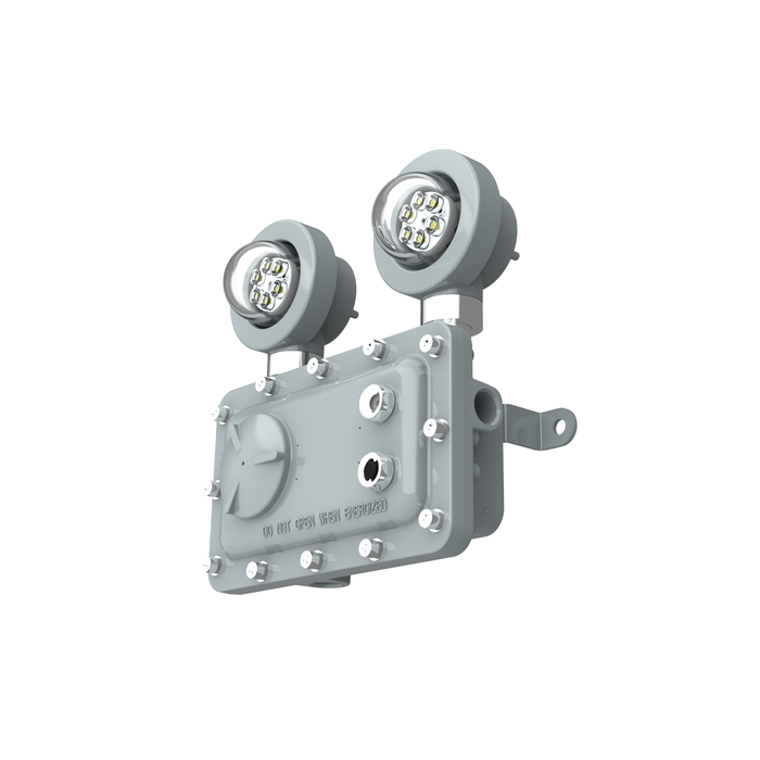 C1D1 Exdura Exit Sign Dual
