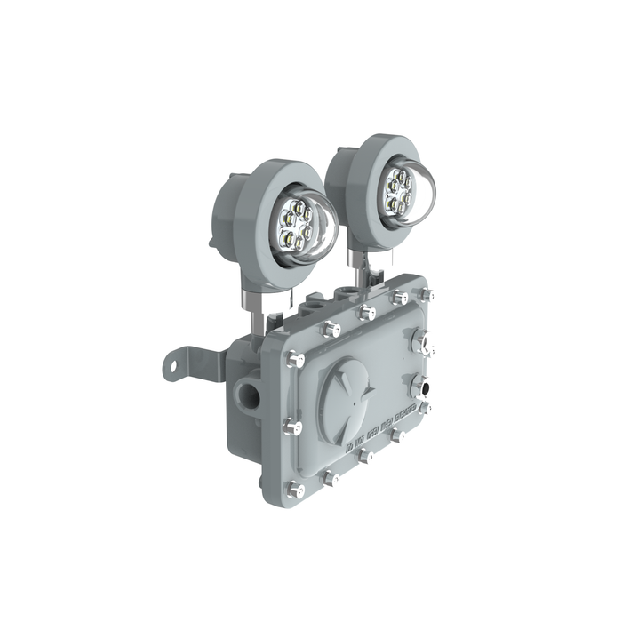 C1D1 Exdura Exit Sign Dual