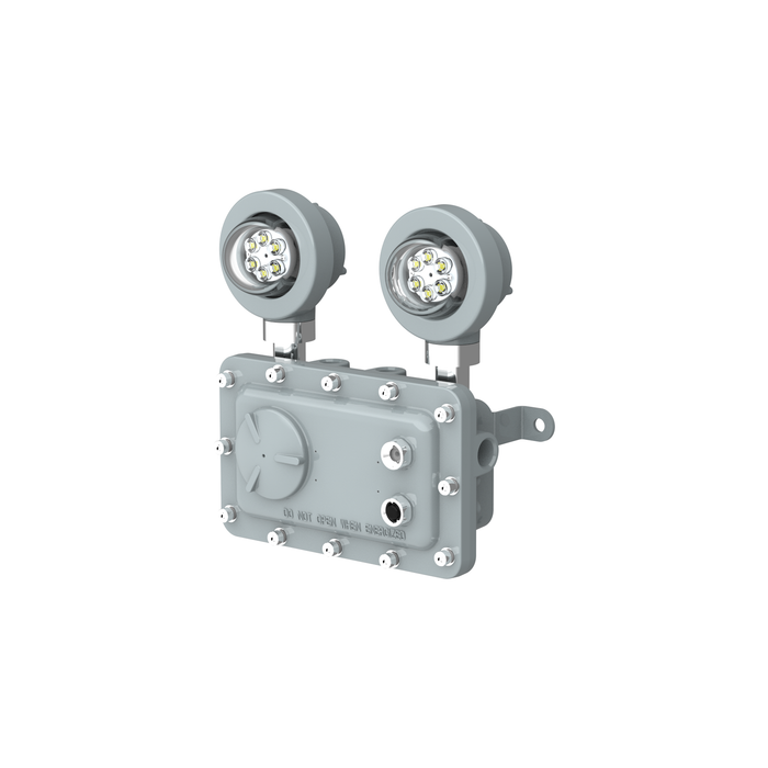 C1D1 Exdura Exit Sign Dual