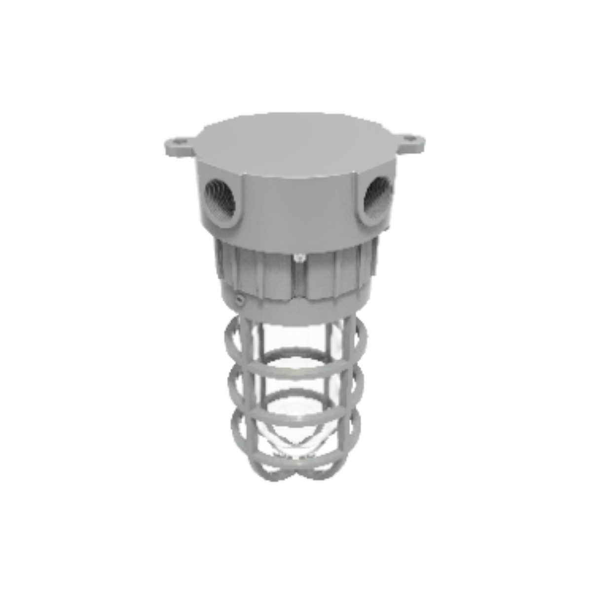 C1D2 30W Exdura Jelly Jar, Ceiling Mount - Durable Light - West Durable ...